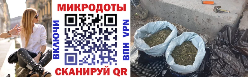 Псилоцибиновые грибы прущие грибы  Александровск-Сахалинский 